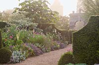 Flower beds divided by clipped hedges, beds contain: Cosmos, fennel, Nepeta,
 Cleome, lupins, Penstemon, Centaurea montana, Alchemilla mollis and Cornus - dogwood 
in colourful border, Sussex