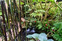 Pool surrounded by lush planting including bamboo, hostas, ferns, Tetrapanax papyrifer 'Rex', anthuriums and bromeliad 