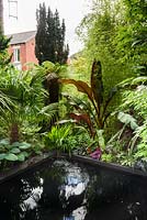 A black pool surrounded by bold foliage plants including bamboos, hostas, begonias, palms