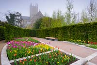 Colourful display of lily flowered tulips including orange 'Ballerina', magenta 'Purple Dream', yellow 'West Point' and red 'Aladdin' in a colour garden based on a stained glass window in the Lady Chapel in Wells Cathedral. Bishop's Palace Garden, Wells, Somerset, UK