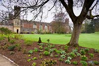 Newly planted winter and spring border in the South Garden with the ruin of the Great Hall as a backdrop at the Bishop's Palace Garden, Wells, Somerset, UK. 