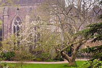 Shrubs and trees surround the ruins of the Great Hall in the South Garden at the Bishop's Palace Garden, Wells, Somerset, UK. 