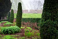 The hot border in the East Garden with fastigiate yews and cornus supports in place for emerging herbaceous perennials. Bishop's Palace Garden, Wells, Somerset, UK. 