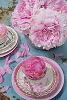 Vintage china decorated with pink Peony booms.  