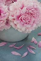 Bowl of pink peonies on blue vintage French table. 