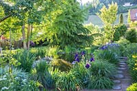 View of natural pond shaded by trees in cottage garden. 
