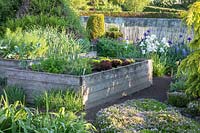 View of wooden raised beds planted with vegetables. 
