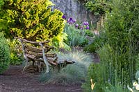 A rustic wooden garden bench next to conifer Chamaecyparis obtuse - Japanese cypress and
ornamental grass Festuca glauca - blue fescue 