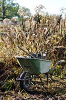 Wheelbarrow and garden tools surrounded by  dried perennials and seed heads