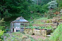 Greenhouse in woodland garden. Copyhold Hollow, Sussex, UK. 