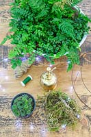 Tools and materials for creating mossed fern wreath with fairy lights