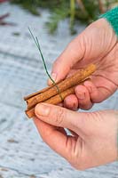 Holding bundle of wired cinnamon sticks to attach to wreath