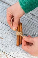 Disguising wire on cinnamon stick bundle with string
