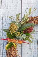 Close up of wreath, decorated with Skimmia, Ilex - holly, Cornus - dogwood
, Eucalyptus, Olea and cinnamon sticks