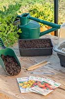 Tools and materials for sowing Tomato seed.