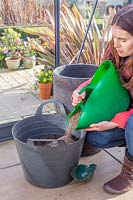 Woman adding horticultural grit to trug of compost.