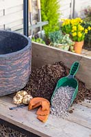 Tools and materials for planting Lilium 'Easy Samba' bulbs in decorative container.