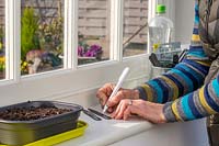 Woman writing plant label for tray of recently sown chilli seeds.