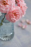 Glass vase of peach-coloured roses. 