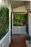 A vertical garden at the end of a timber verandah on a Victorian style weatherboard cottage, featuring a selection of colourful tropical and sub tropical plants.
