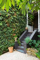 Front steps leading to a verandah of a Victorian-style cottage.
