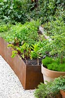 Detail of a rectangular rusty Cor-ten steel raised garden bed planted with a mixture of edible herbs and vegetables.