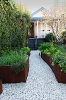 View of urban vegetable garden, with walkway between two rusty, raised Cor-Ten steel, garden beds planted with herbs and vegetables.
