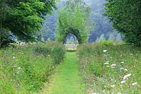 Looking down mown pathway through the wildflower meadow towards the living willow arch and bench in the parkland beyond.