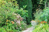 Secret pathway through mixed borders and Taxus baccata - Yew hedge. Chaucer Barn, Norfolk, UK. 