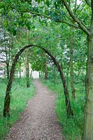 Living willow - Salix - archways turn a gravel pathway into an inviting journey. Chaucer Barn, Norfolk, UK. 