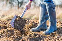 Woman digging soil using spade. 