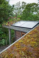 View of green roof and solar panels on top of Eco-house.