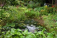 Small pond to the rear of the eco house surrounded by moisture-loving and marginal plants. 