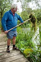 Martin Gould clearing pond weed. 