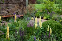 Salvia officinalis, Lupins, and Allium in the Cruse Bereavement Care: A Time for Everything Show Garden 
