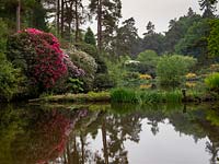 Leonardslee Gardens and Lakes after restoration work, West Sussex, UK.
