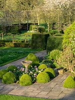 Stone bird water bath surrounded with Buxus globes at dawn in the Tower Garden with cube topiary..