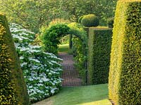 The rose garden path with large block of Taxus - Yew topiary.
