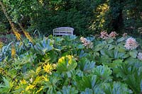 Border in The Damp Garden, planted with Ligularia 'The Rocket', Rodgersia aesculifolia and Darmera peltata.