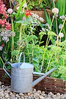 Galvanised metal watering can next to mixed planting. 'Allotment to Back Yard Garden', designed and grown by Ralph and Linda Nichols. Sandringham Flower Show, 2018.