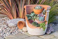 Finished succulent landscape pot created with a broken pot and terracotta crocks. 