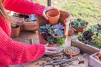 Woman placing small terracotta pot inside the large broken pot to create another planting tier.
