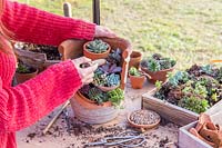 Woman using a tiny trowel to add additional compost around the newly planted succulents. 