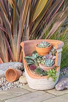 Finished succulent landscape pot created with a broken pot and terracotta crocks. 