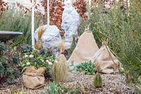 Protecting tender plants in winter using hessian and fleece.
