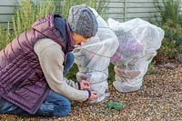 Woman tying string around containers with tender plants wrapped in fleece