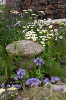 Stone toadstool amidst contemporary planting set against a traditional Cotswold stone wall in Cotswold Connections - RHS Tatton Flower Show 2016