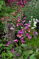 Traditional planting of Digitalis and other flowering perennials in The NSPCC Legacy Garden, RHS Tatton Park Flower Show, 2016. 