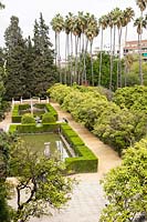 View from the Galera del Grutesco. Alcazar Palace Gardens, Seville, Spain. 