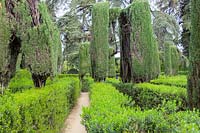 The Maze Garden with hedges of Myrtus - Myrtle. Alcazar Palace Gardens, Seville, Spain.